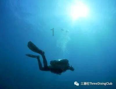 小猫钓鱼游戏龙王版有船