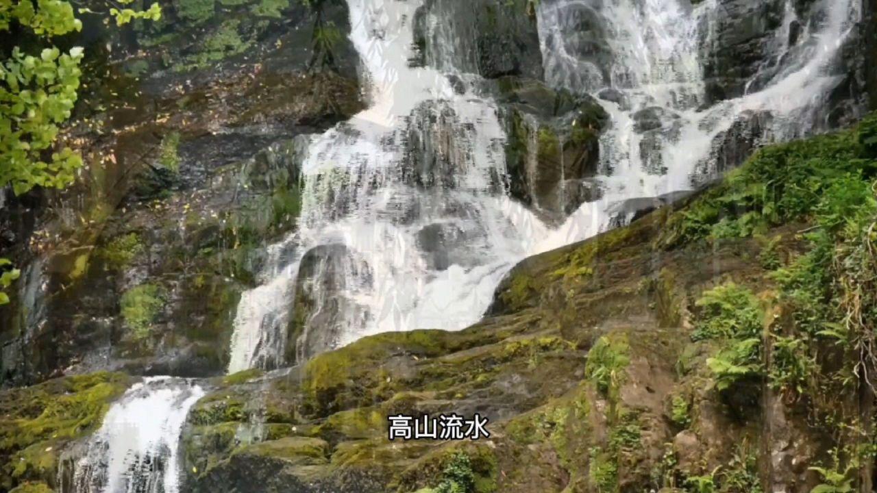 媳妇将一把干面条直接扔锅里,不加一滴水,5分钟后全家傻眼了