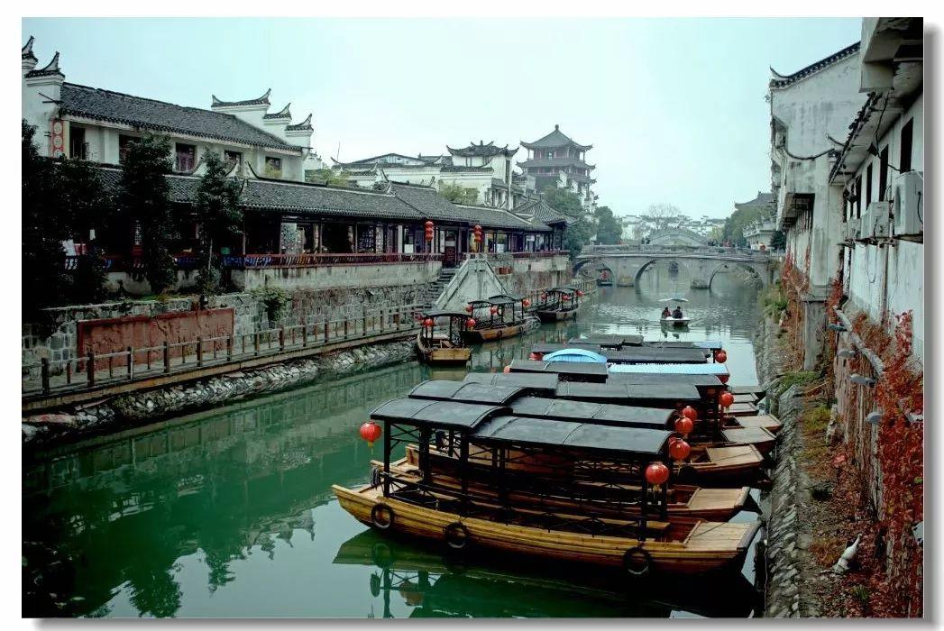 动物帮帮忙保卫家园